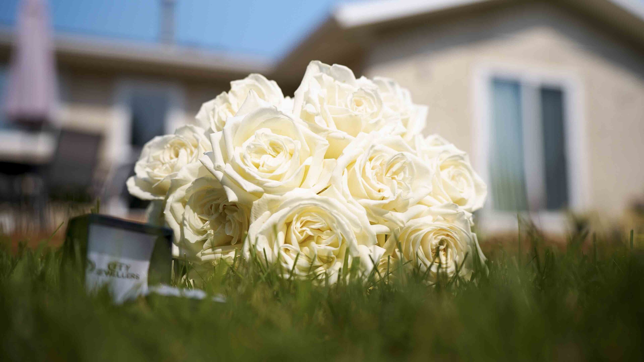 White rose bouquet resting on grass during an outdoor